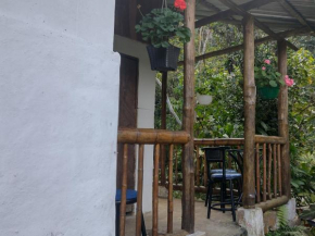 Sapiens house 